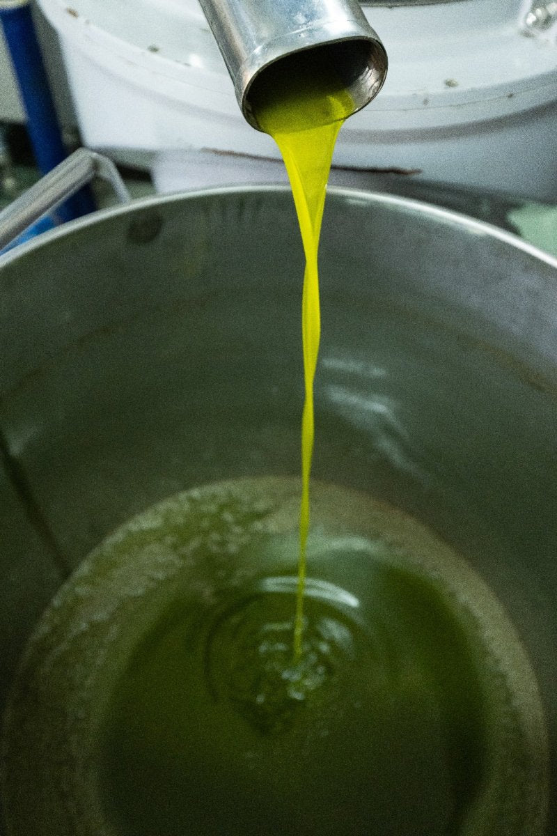 #italian_olive_oil# - #sapore_vivo_nl# #extra_vergin_olive_oil# #olijf_olie# #italiaans_olijf_olie#