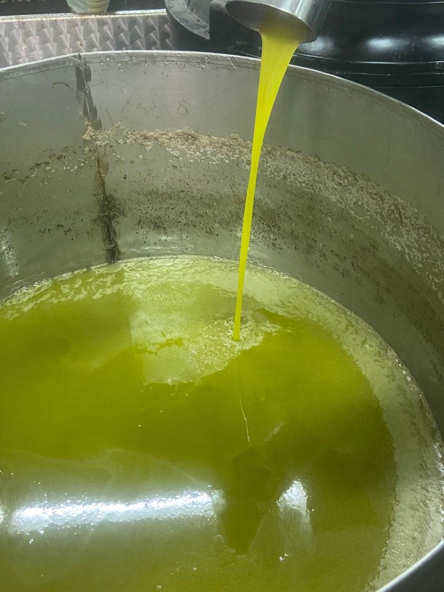 #italian_olive_oil# - #sapore_vivo_nl# #extra_vergin_olive_oil# #olijf_olie# #italiaans_olijf_olie#